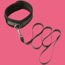 Leashes & Leads