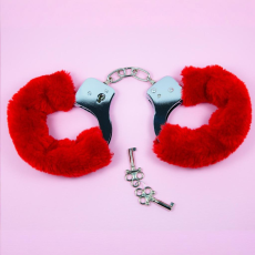 Handcuffs & Restraints