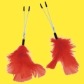 Nipple & Clitoral Toys
