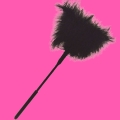 Feather Ticklers