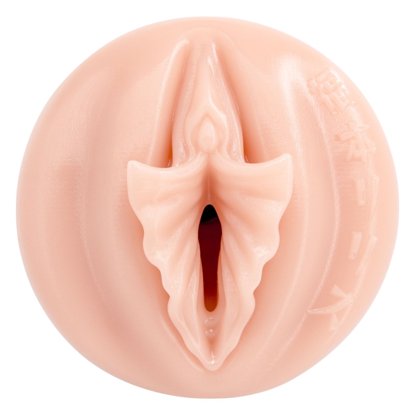 Fleshlight Fantasy Lilith Fukumoto Male Masturbator