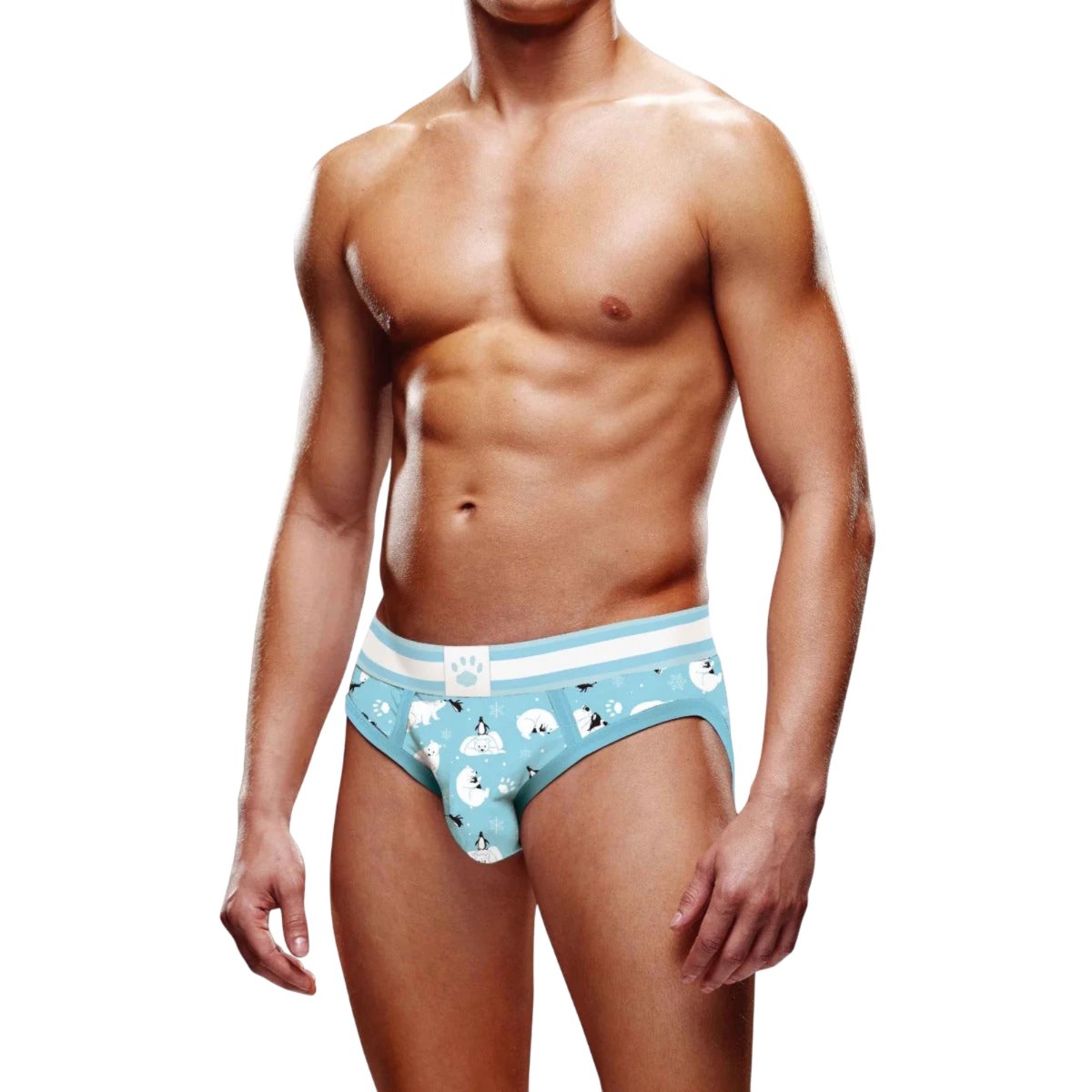 Prowler Winter Polar Bears And Penguins Animals Brief, L