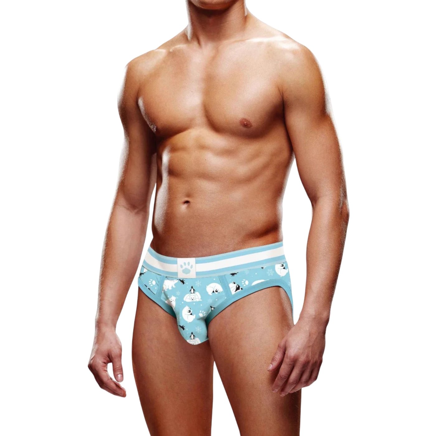 Prowler Winter Polar Bears And Penguins Animals Brief