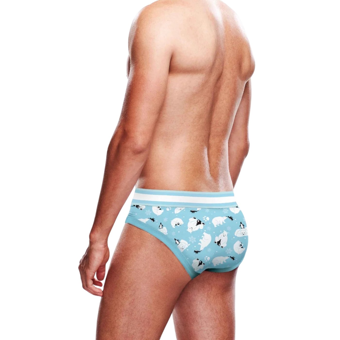 Prowler Winter Polar Bears And Penguins Animals Brief