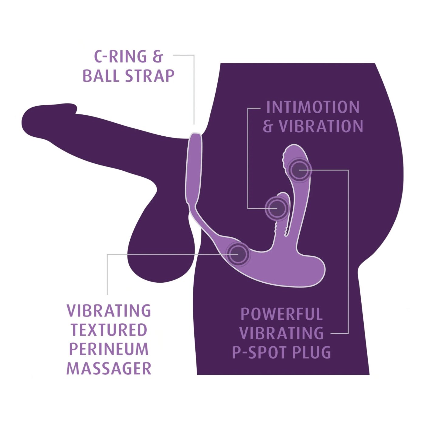 Anal Fantasy Elite Ass-Gasm IntiMotion Remote Control Anal Cock Ring