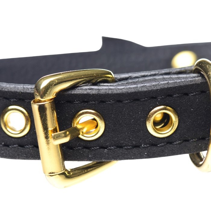 Master Series Golden Kitty Cat Bell Collar Black/Gold