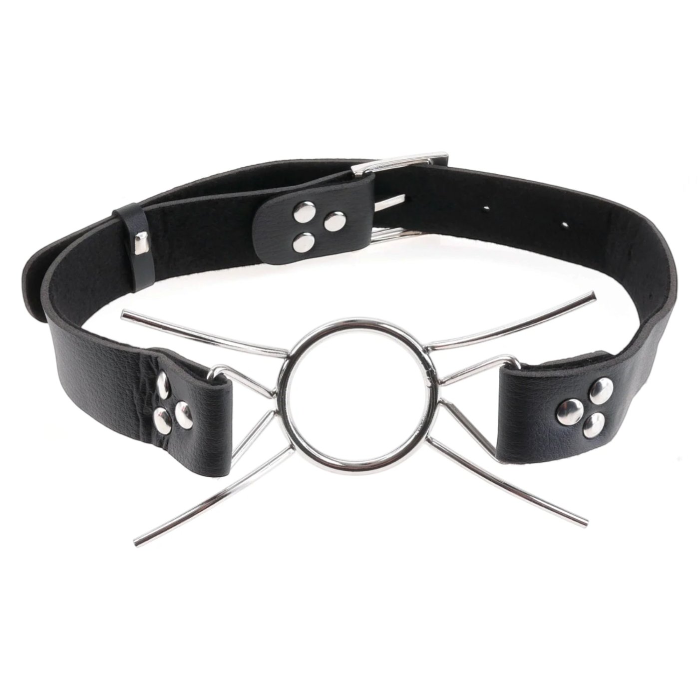 Fetish Fantasy Extreme Metal Spider Gag