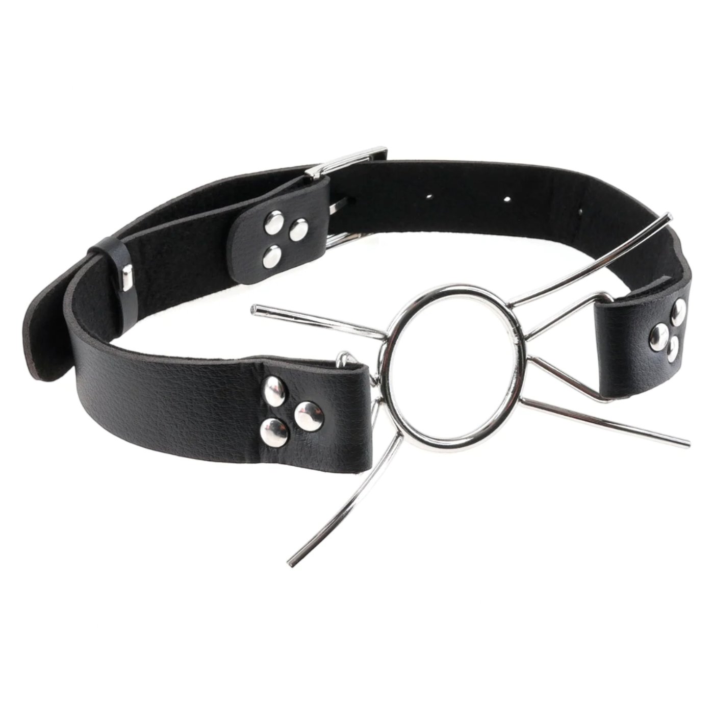Fetish Fantasy Extreme Metal Spider Gag