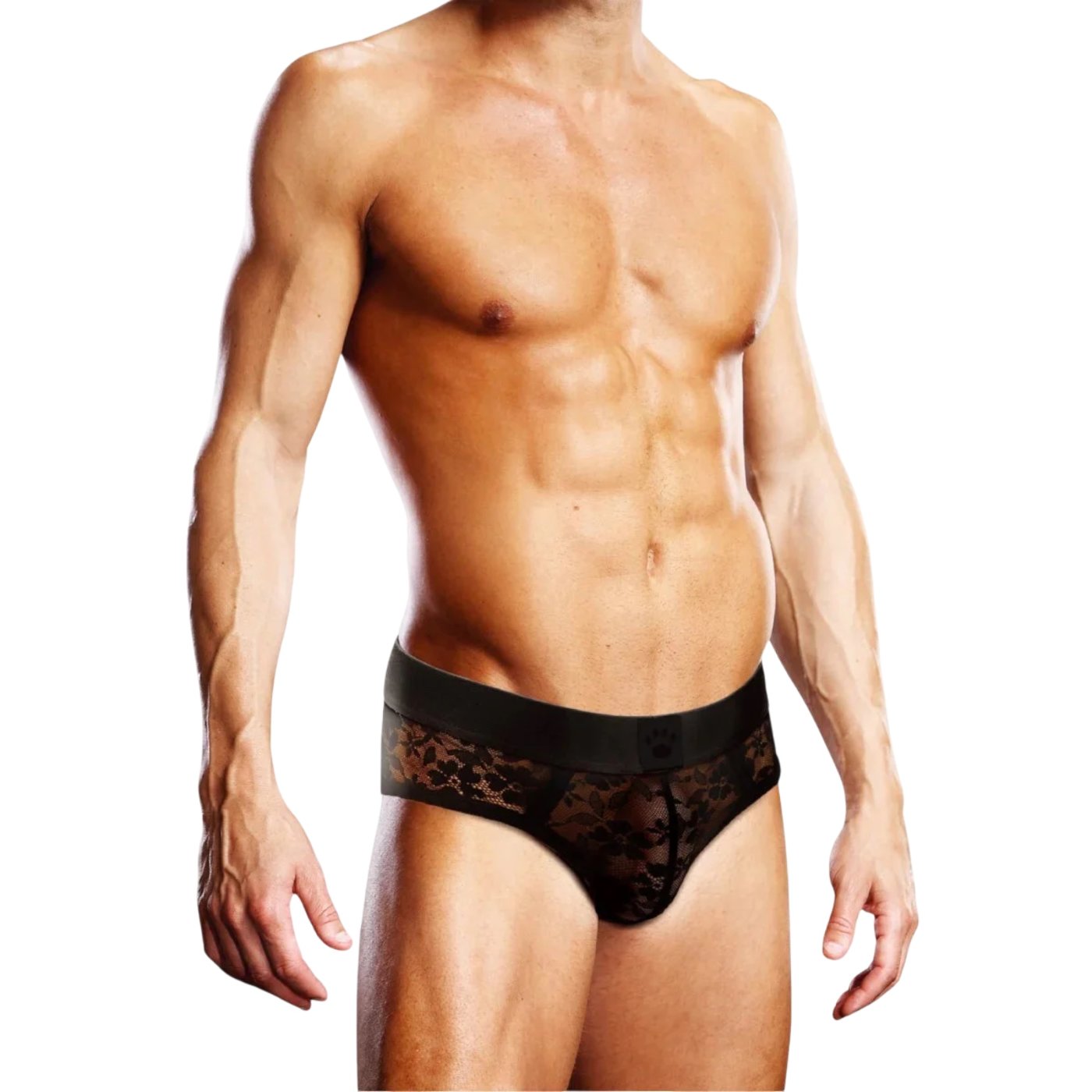 Prowler Lace See-Through Brief Black