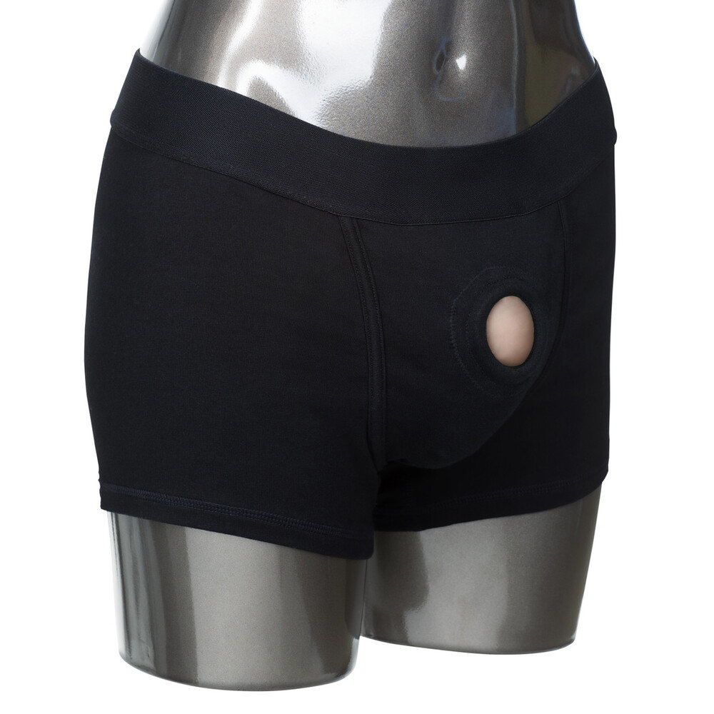 CalExotics Packer Gear Boxer Harness Black M/L