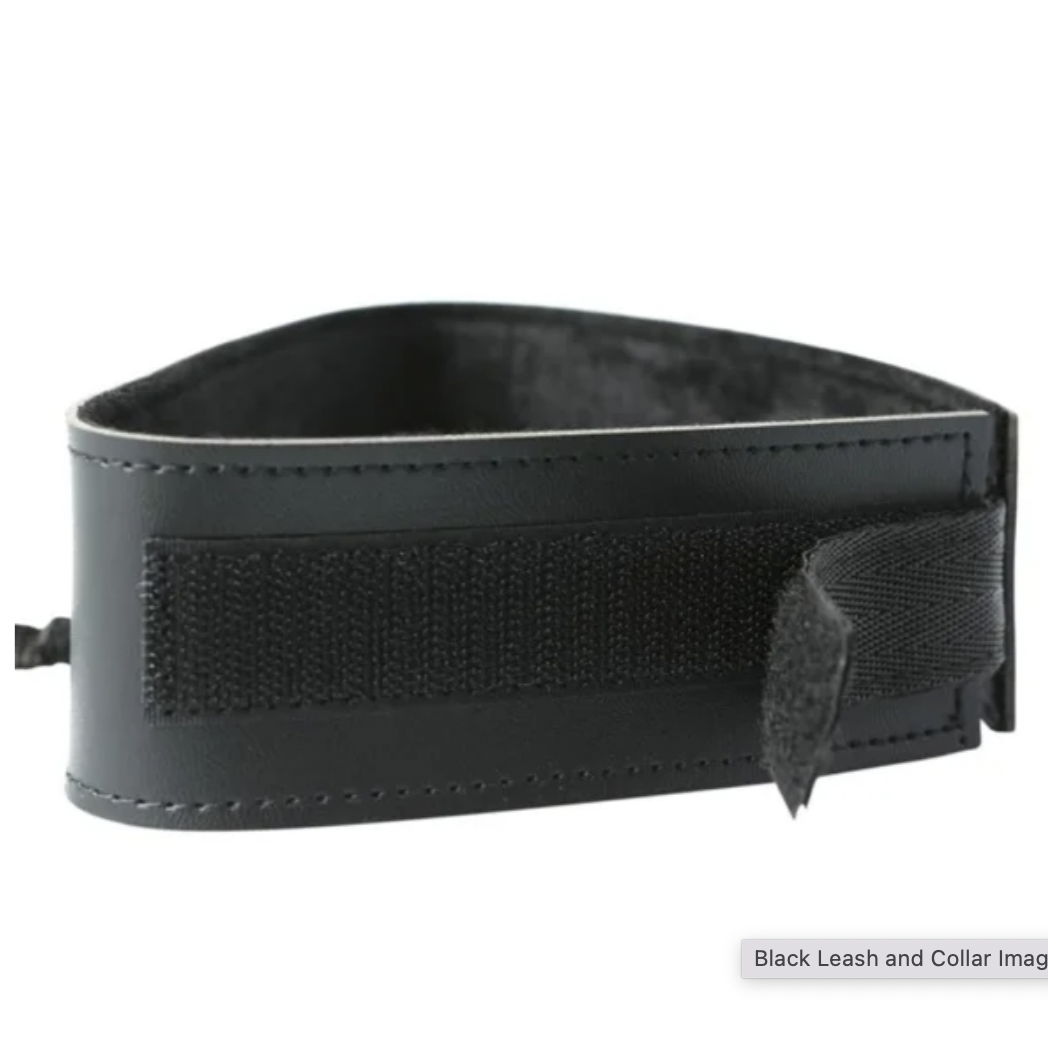 S&M Leash & Collar Black