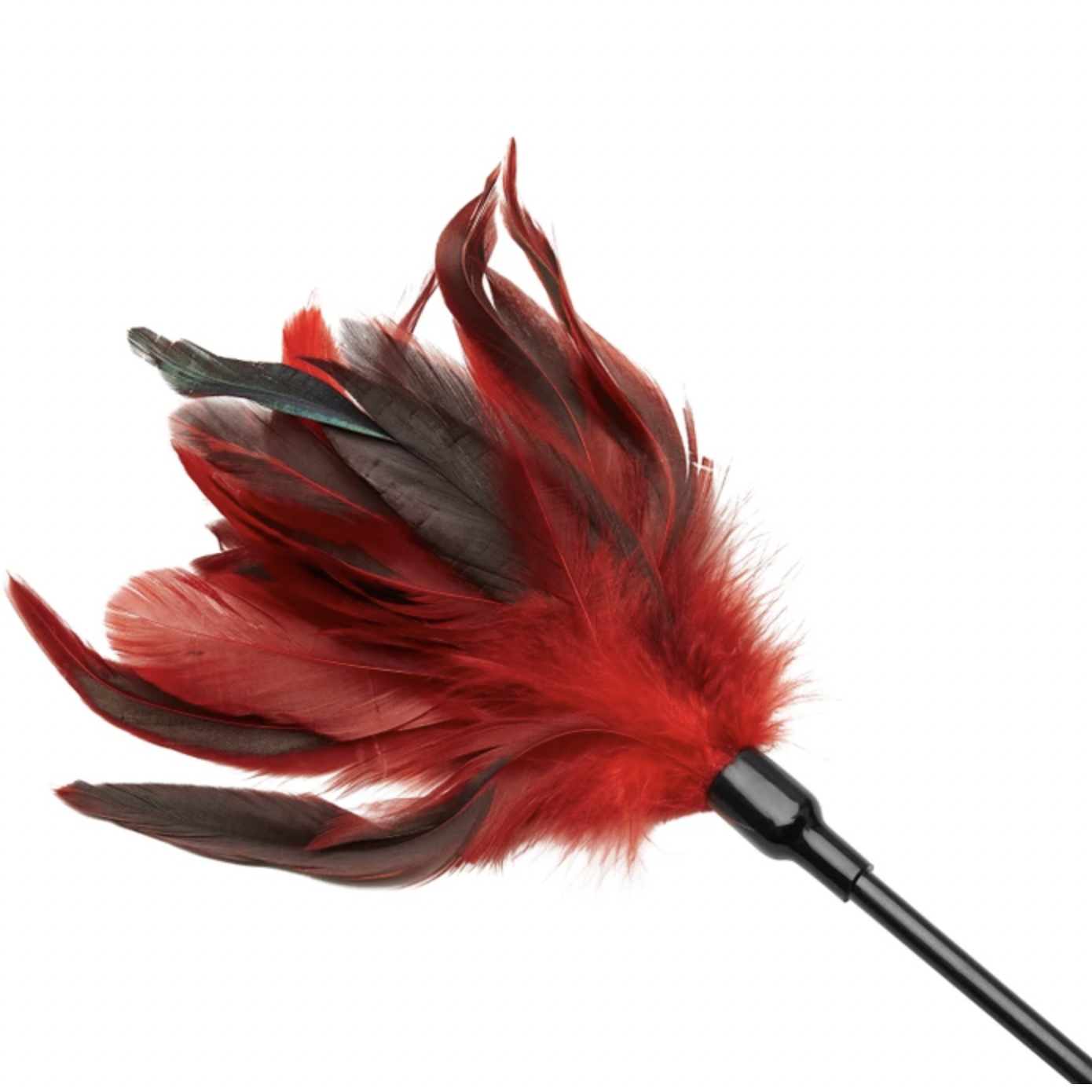 S&M Feather Slapper
