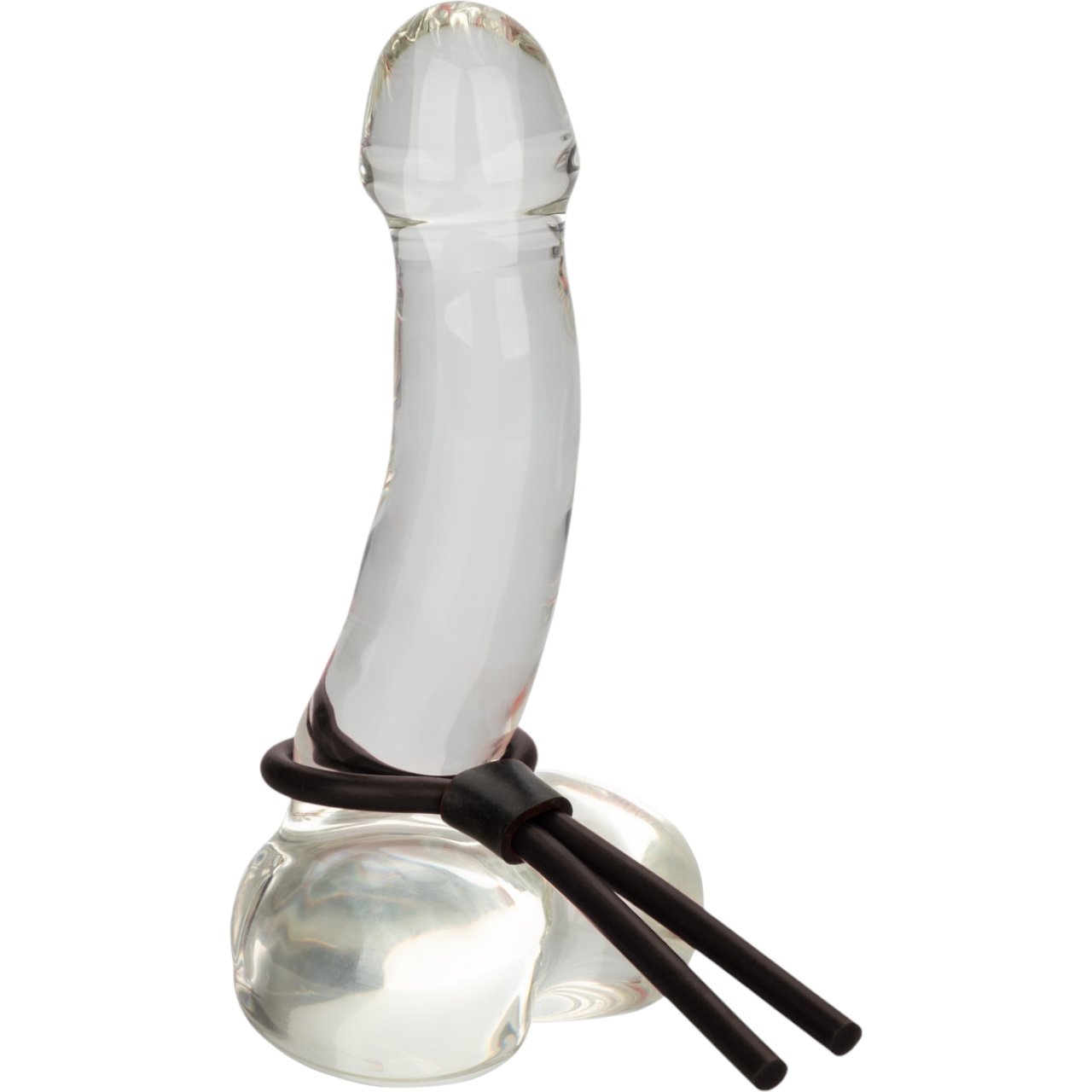 CalExotics Silicone Stud Lasso Black