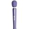 Le Wand Petite Mini Rechargeable Massage Wand Vibrator Violet