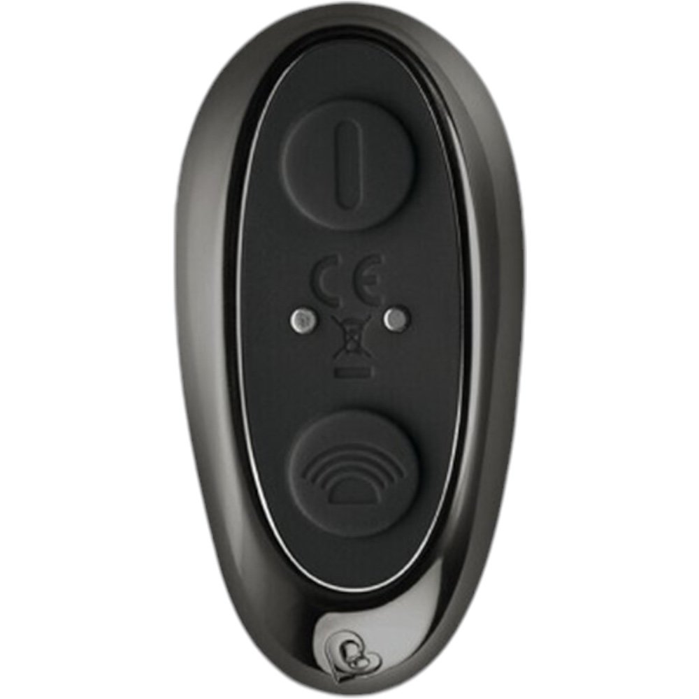 Rocks Off Rude Boy Xtreme Remote Control Prostate Vibrator