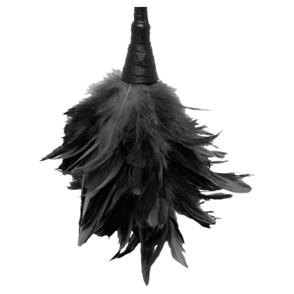 Fetish Fantasy Frisky Feather Duster Black