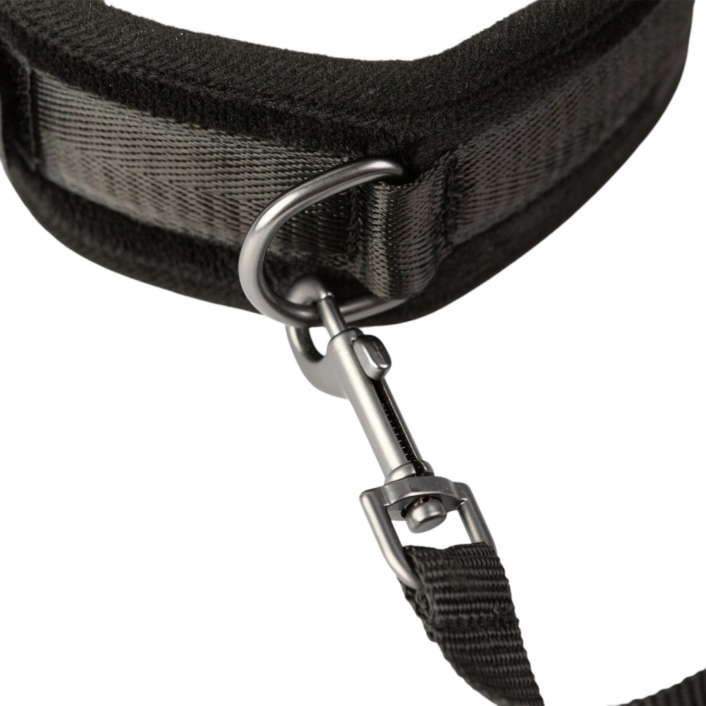 Sei Mio Take The Lead Padded Neck Collar And Leash