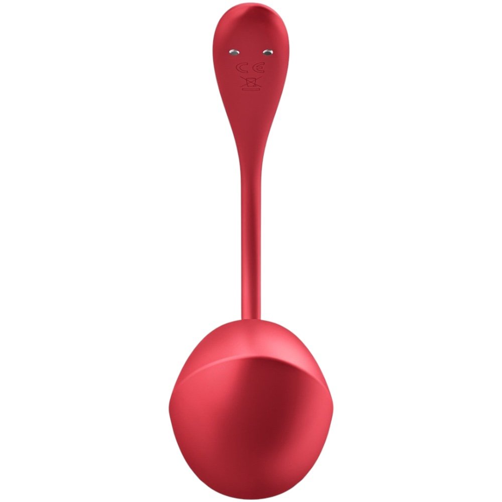 Satisfyer Shiny Petal Remote and App Controlled Rechargeable Wearable Vibrator