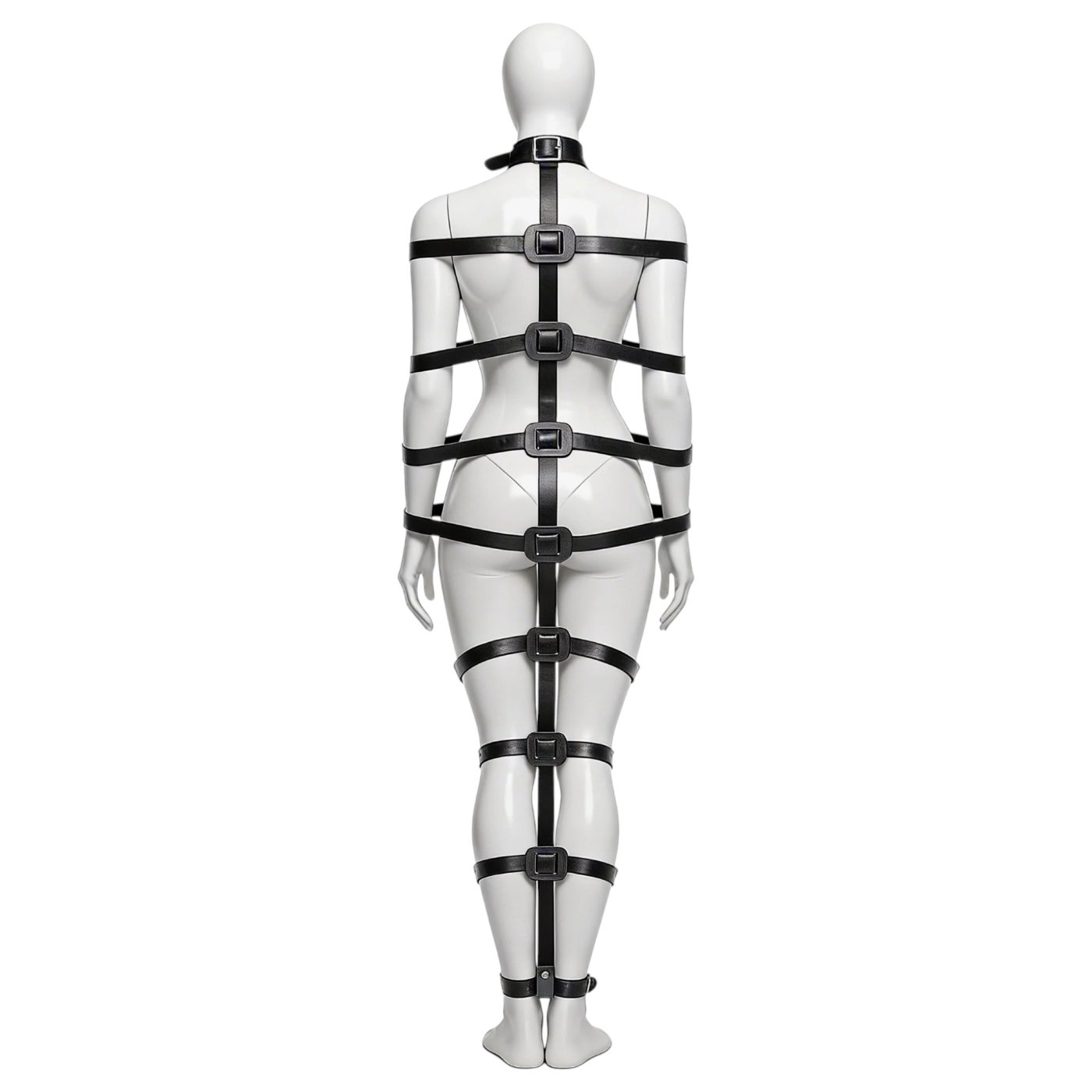 Master Series Backbone Full Body Harness
