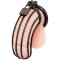 Blue Line Prisoner Cock Cage Black
