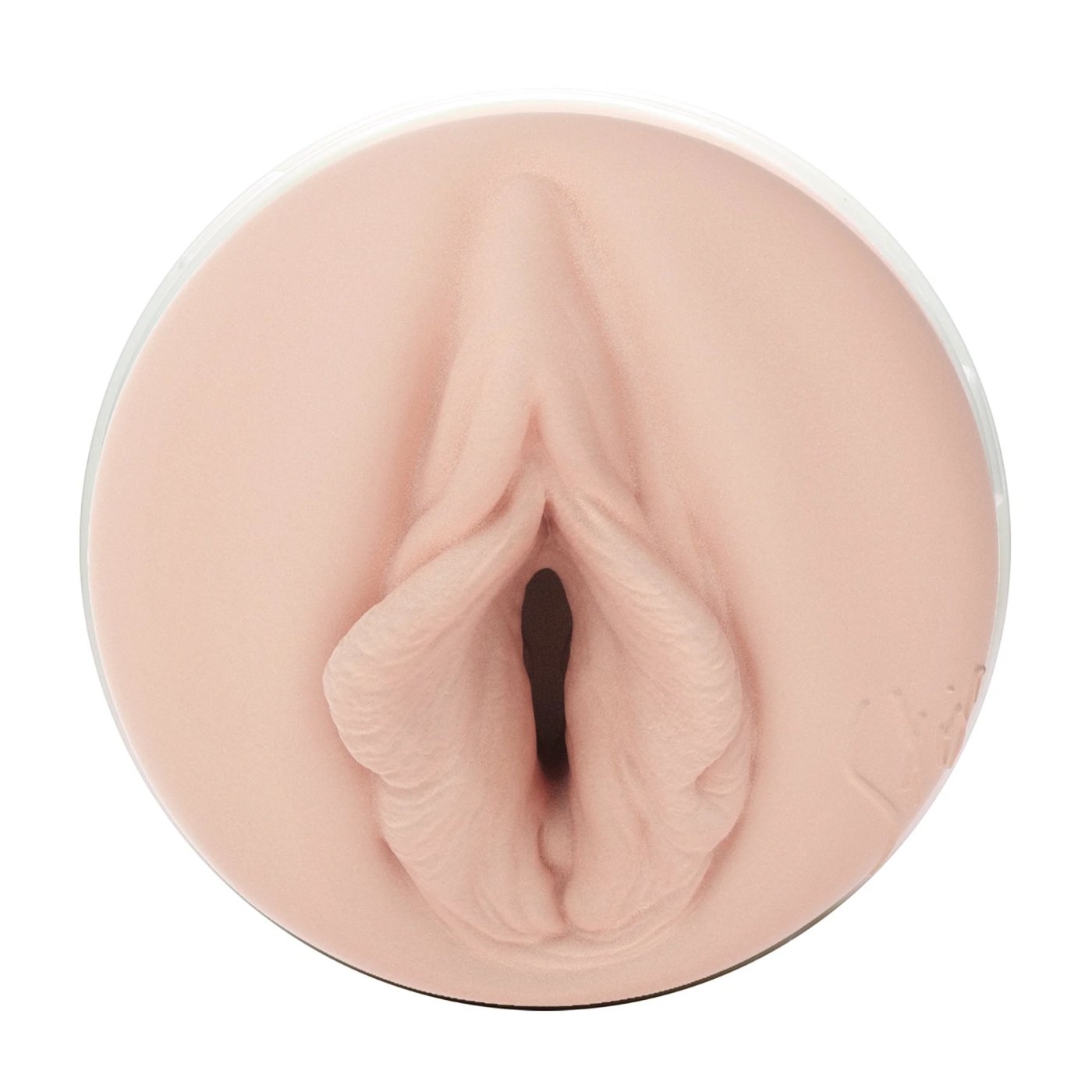 Fleshlight Girls Stoya Destroya Male Masturbator