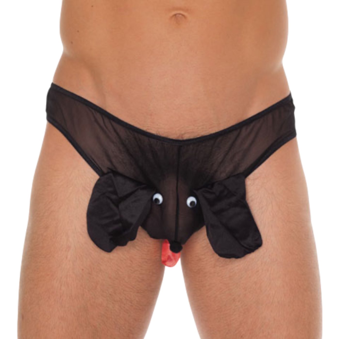 Rimba Men’s Black Puppy Pouch Mesh Briefs