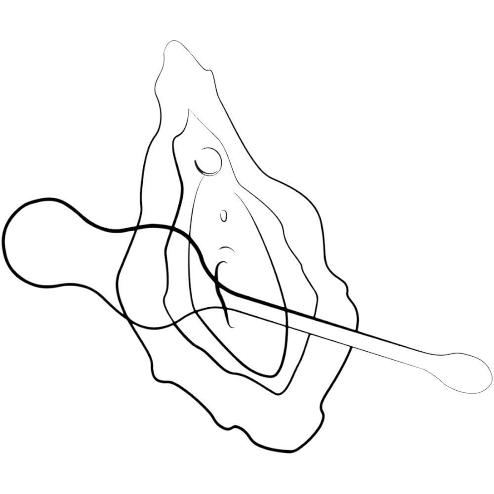 ROMP Cello Remote Controlled Rechargeable G-Spot Vibrator