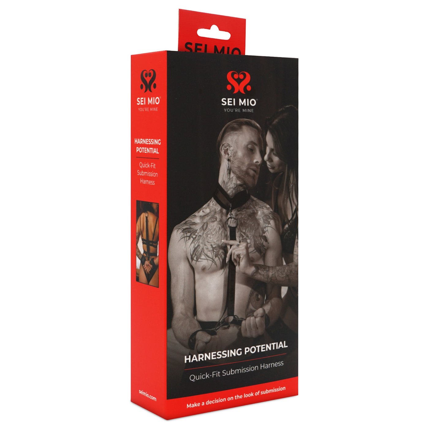 Sei Mio Harnessing Potential Bondage Harness with Collar