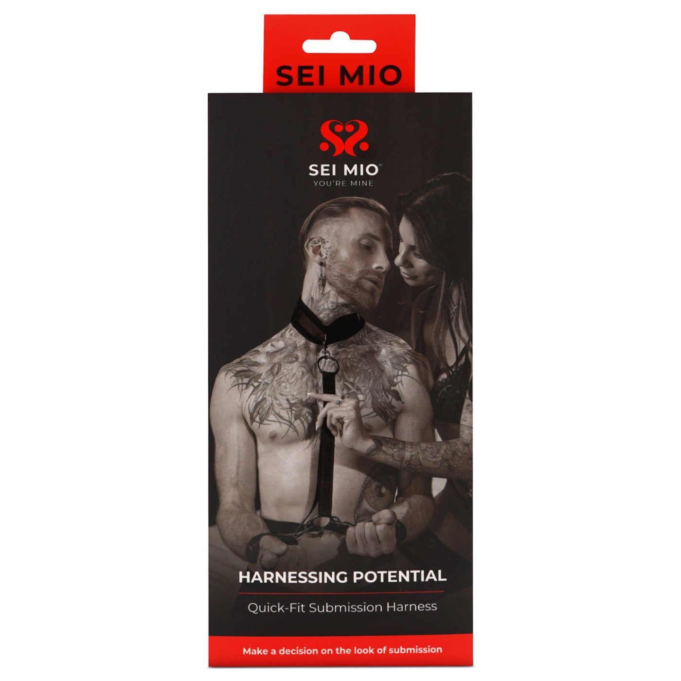 Sei Mio Harnessing Potential Bondage Harness with Collar
