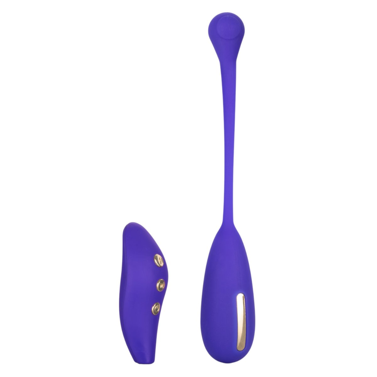 Impulse Intimate E-Stimulator Remote Kegel Exerciser – CalExotics