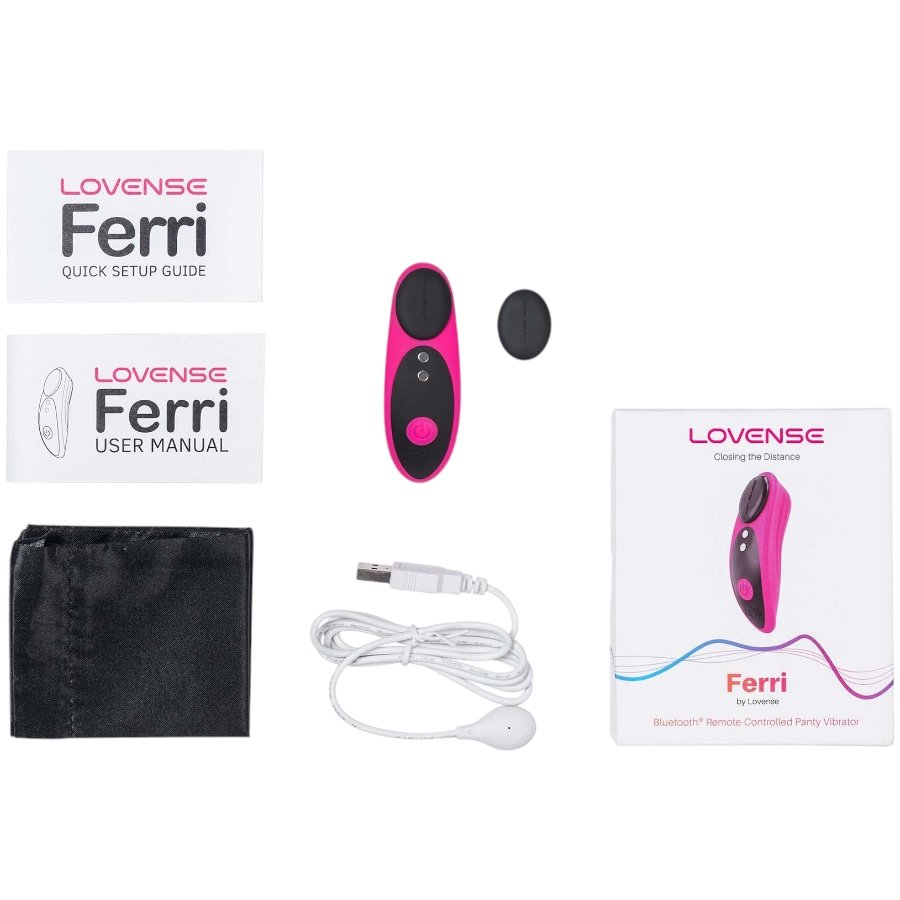 Lovense Ferri App Controlled Rechargeable Clitoral Panty Vibrator