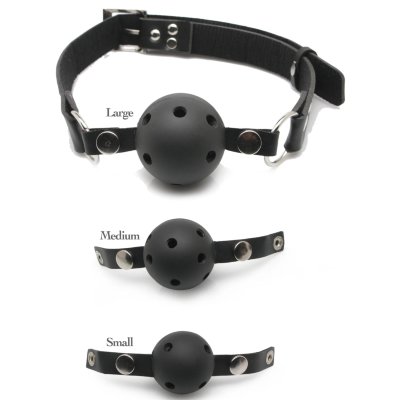 Pipedream Ball Gag Training System