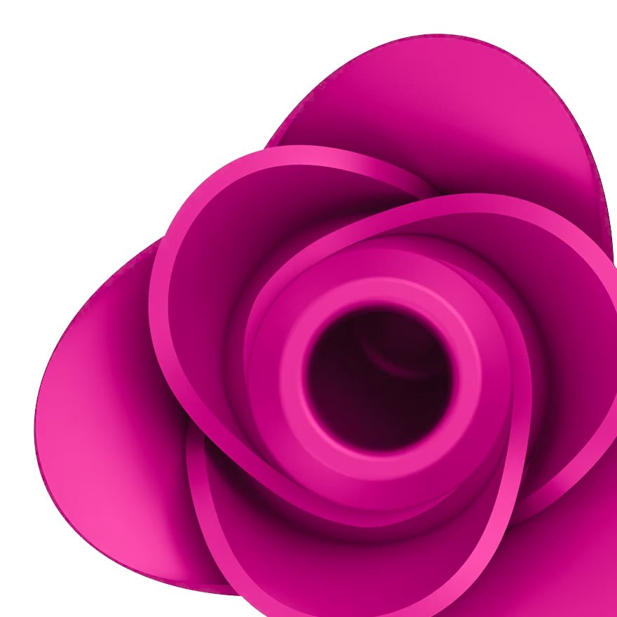 Satisfyer Pro 2 Modern Blossom Rose Air Pulse Rechargeable Clitoral Vibrator