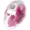 Satisfyer Cloud Dancer Double Air Pulse Clitoral Vibrator Red