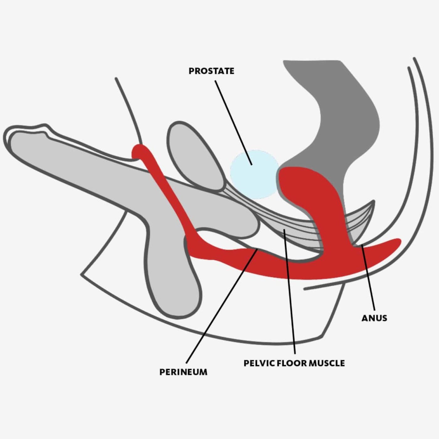 Fun Factory Bootie Ring Anal Plug