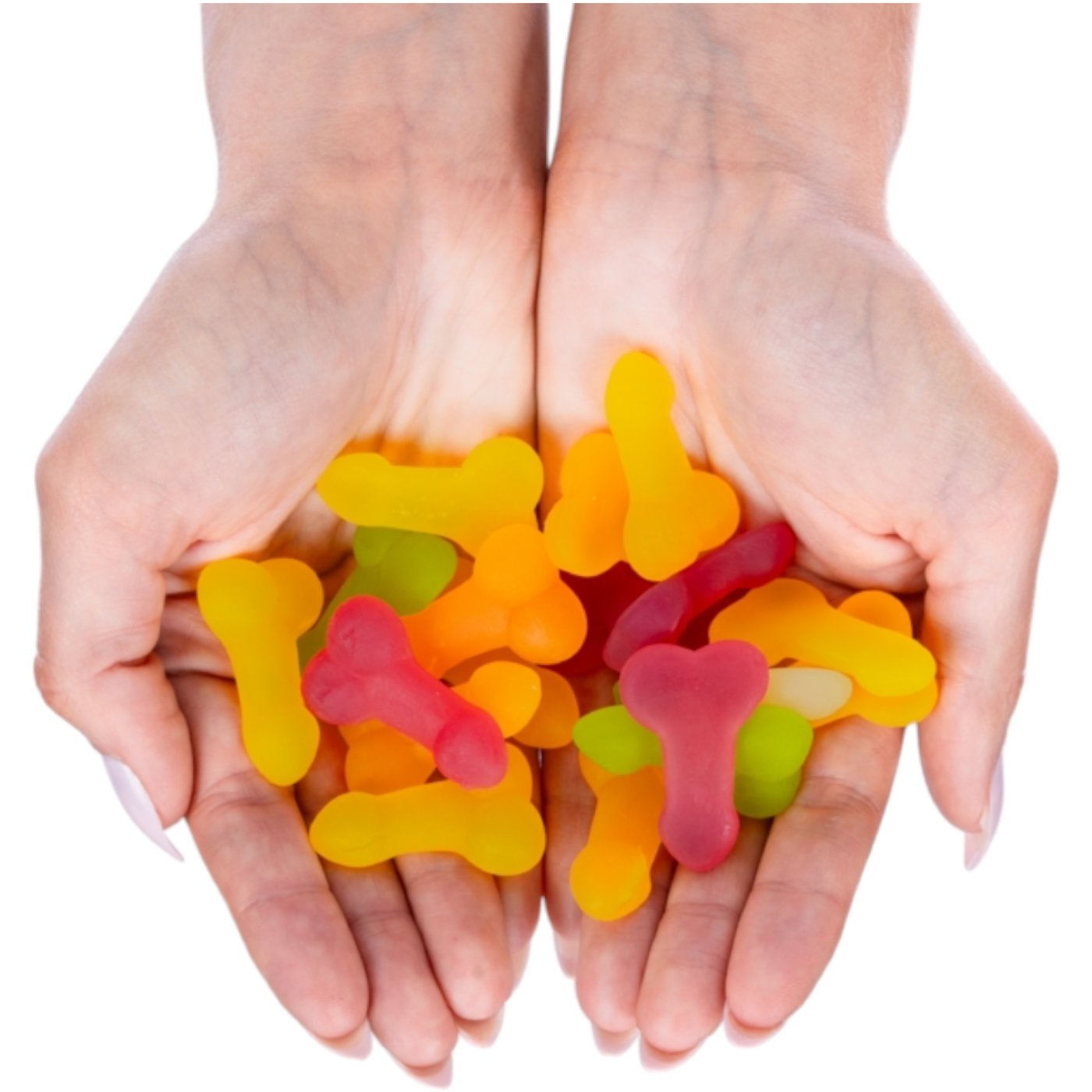 Fruit Flavoured Jelly Willies (12 Pack)