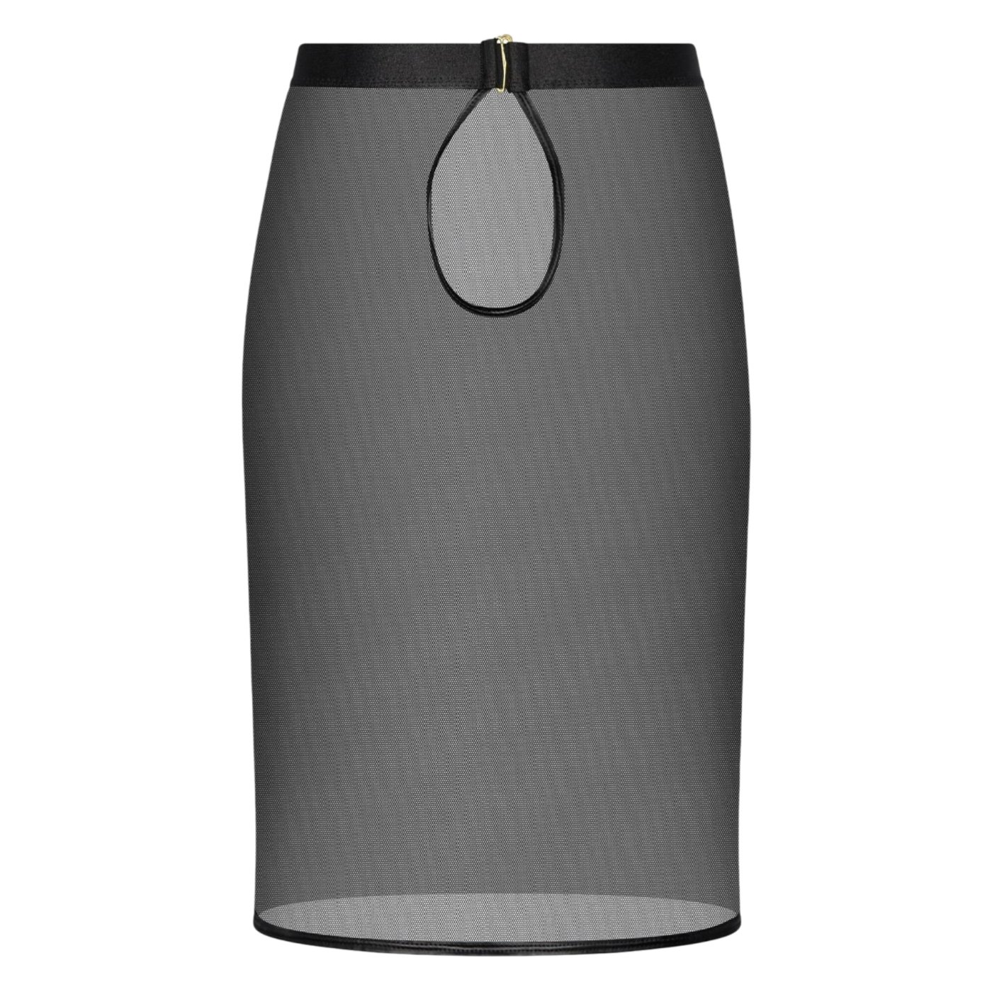 Guilty Pleasure Sheer Stretch Skirt