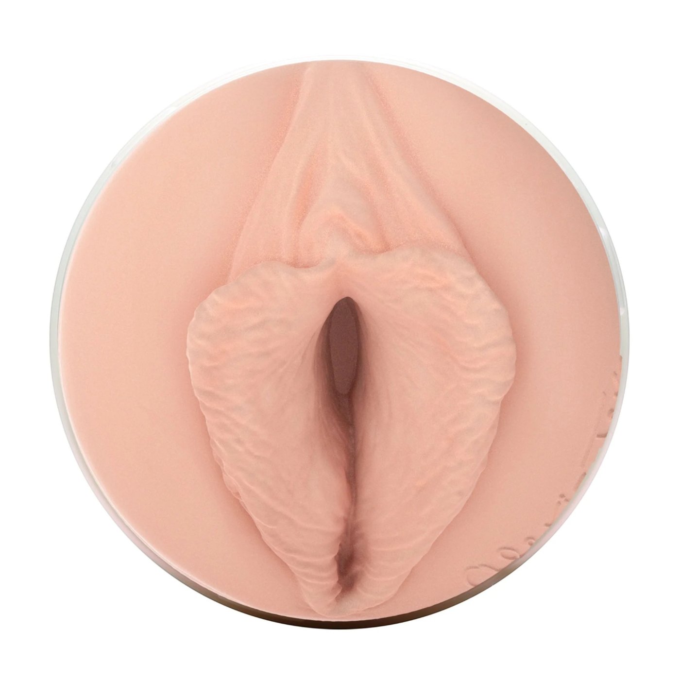 Fleshlight Girls Alexis Texas Outlaw Male Masturbator