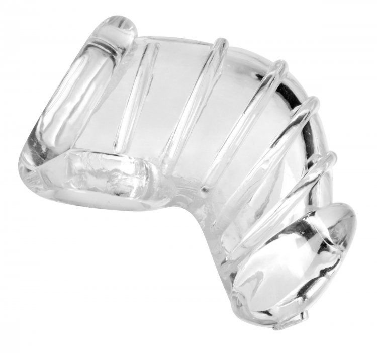 Master Series Detained Soft Body Chastity Cage – Master Series