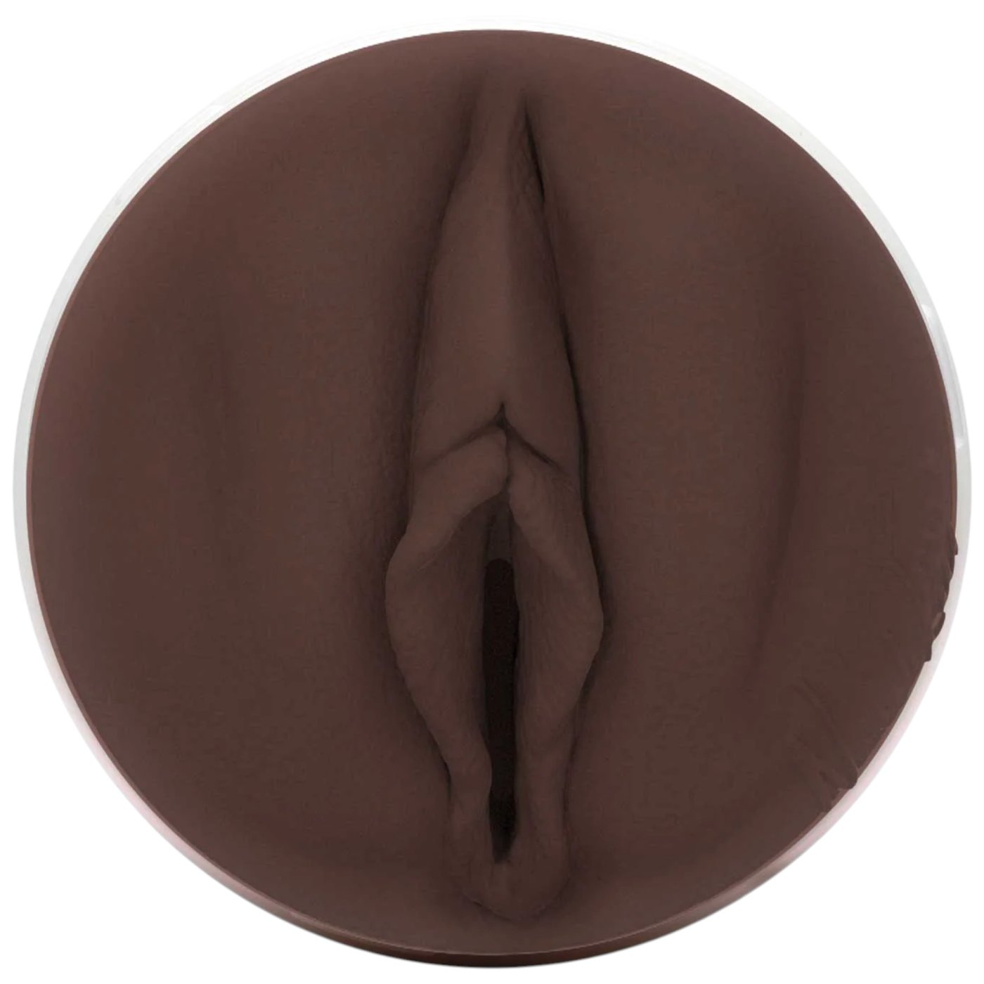 Fleshlight Girls Nicole Kitt Purrrrrfection Vagina Texture Male Masturbator