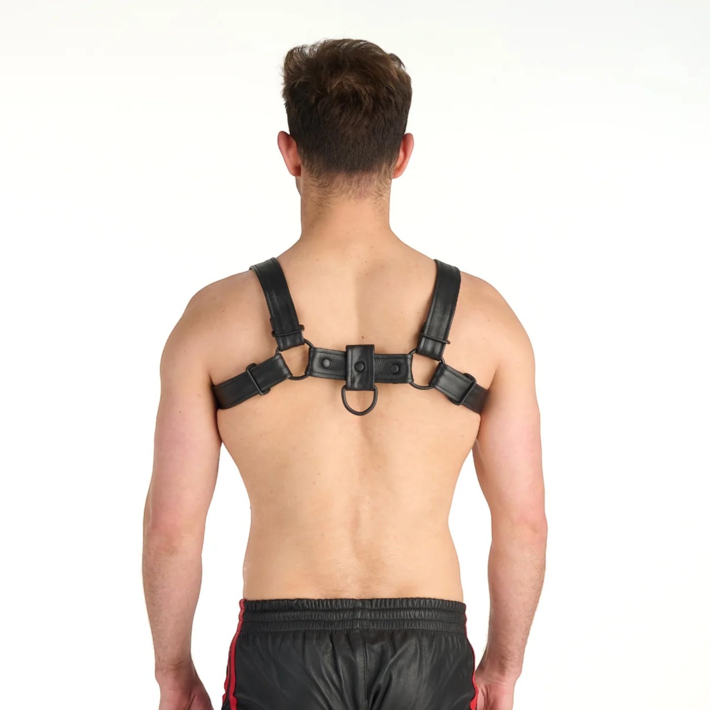 Prowler RED Bull Leather Chest Harness with Black Fittings