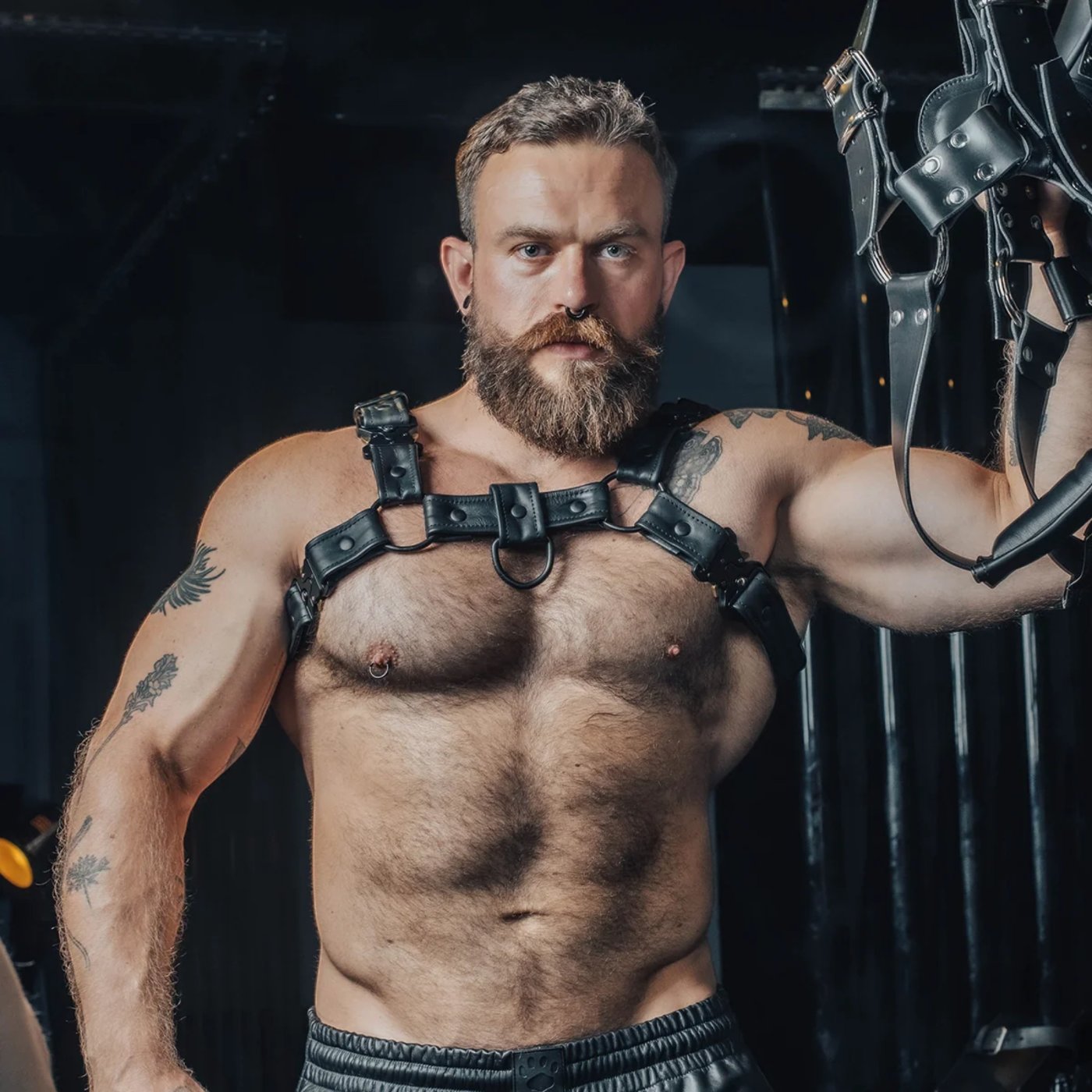 Prowler RED Bull Leather Chest Harness with Black Fittings