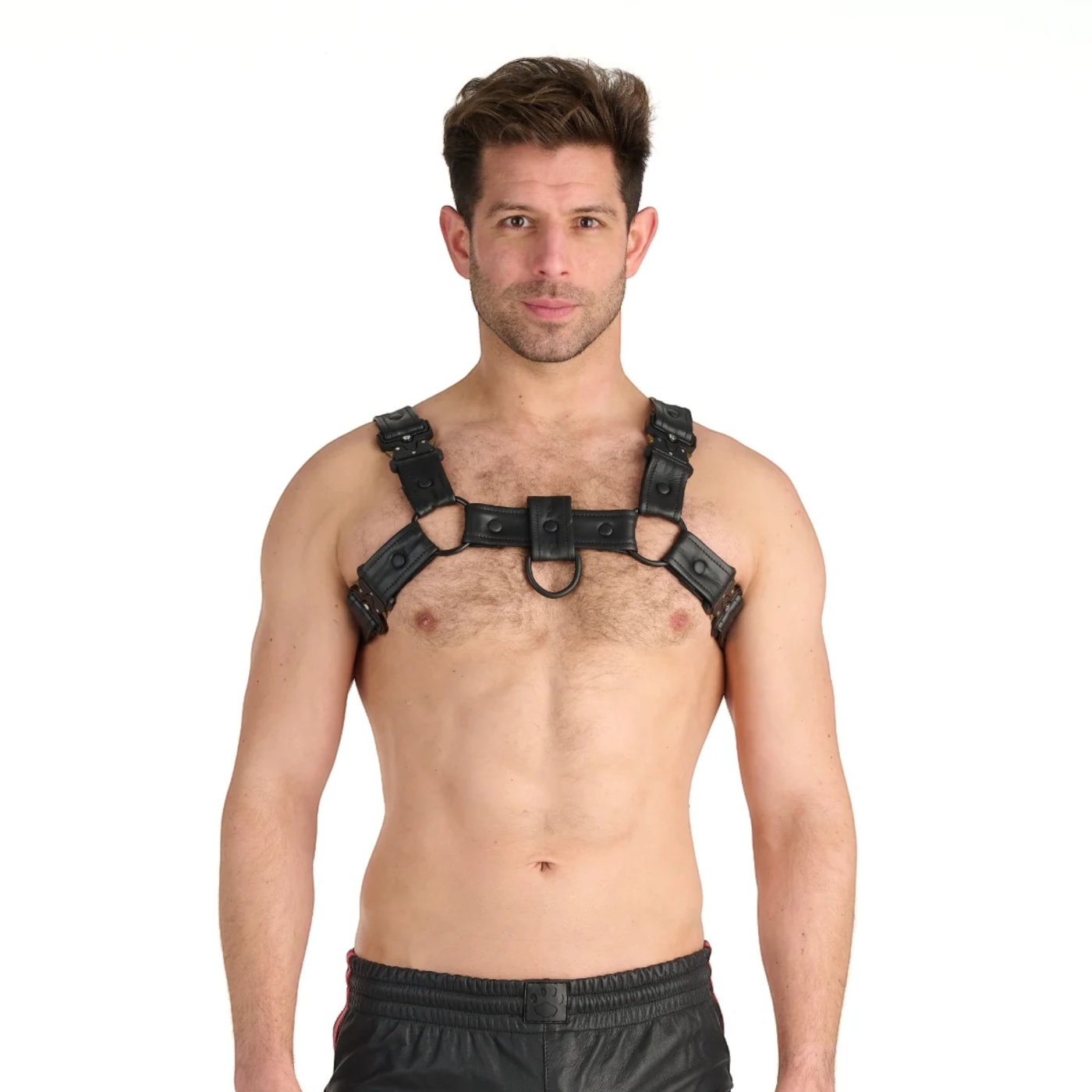 Prowler RED Bull Leather Chest Harness with Black Fittings